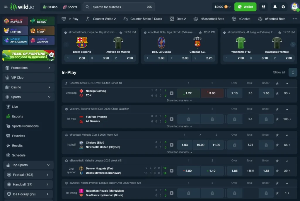 The esports betting options on Wild.io.